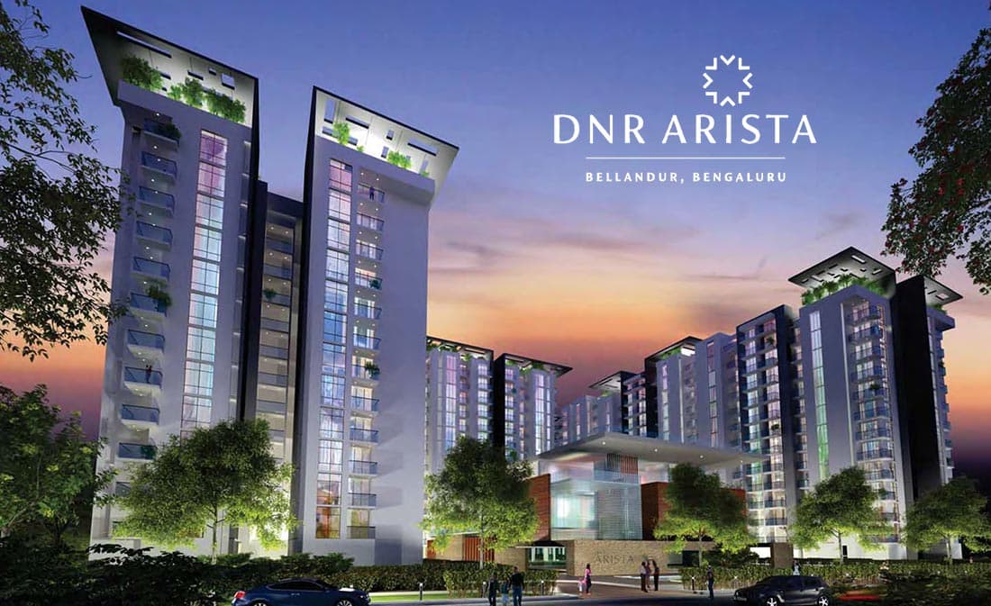 DNR Arista Phase 2